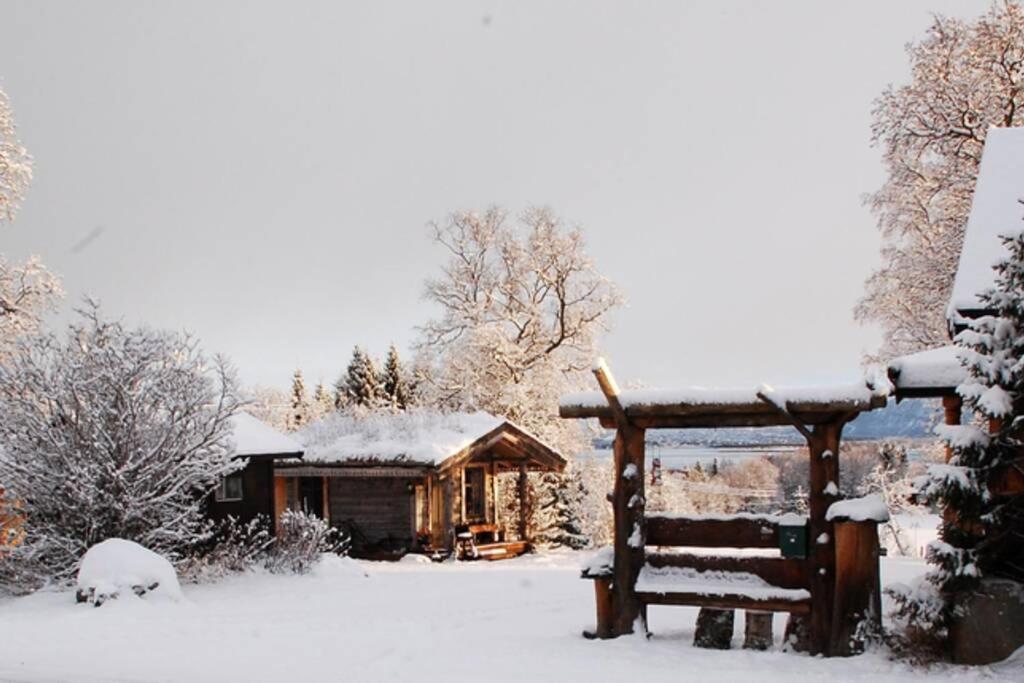 100 Years Old Norwegian Log House in Tromsø Villa Eksteriør bilde