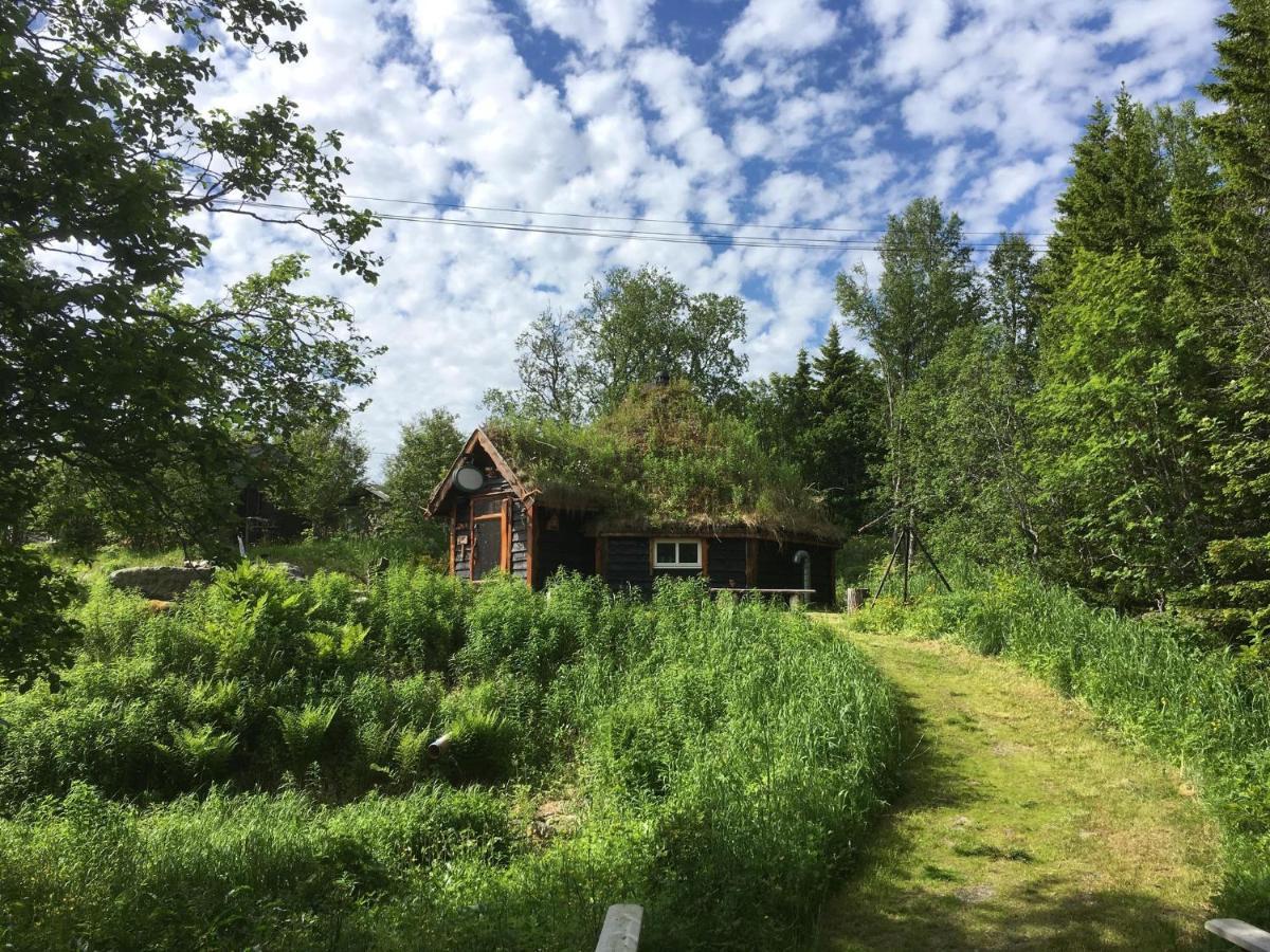 100 Years Old Norwegian Log House in Tromsø Villa Eksteriør bilde