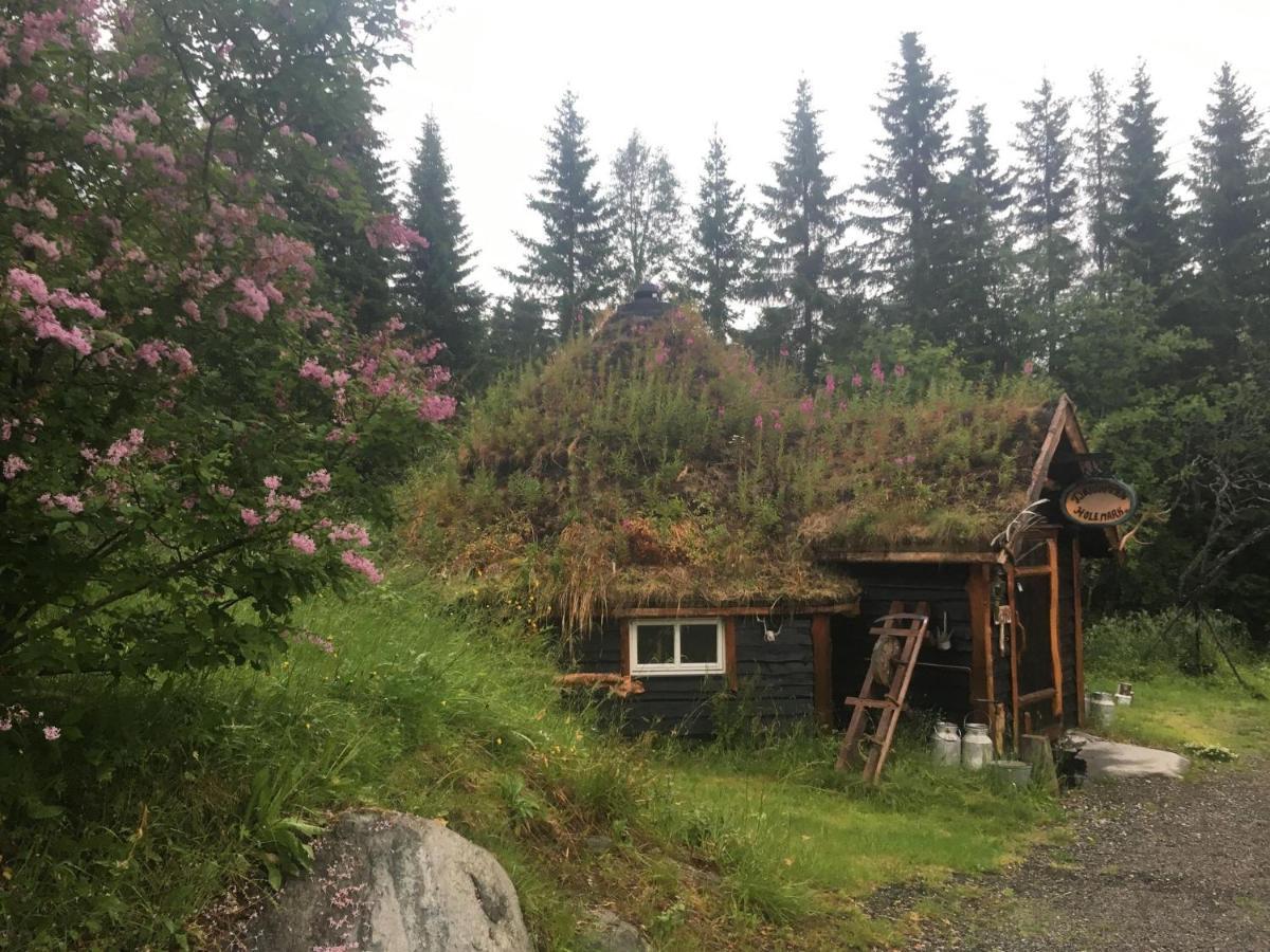 100 Years Old Norwegian Log House in Tromsø Villa Eksteriør bilde