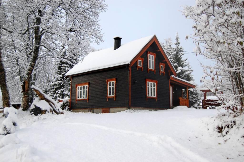 100 Years Old Norwegian Log House in Tromsø Villa Eksteriør bilde
